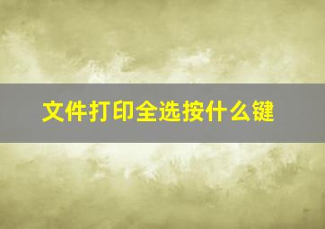 文件打印全选按什么键