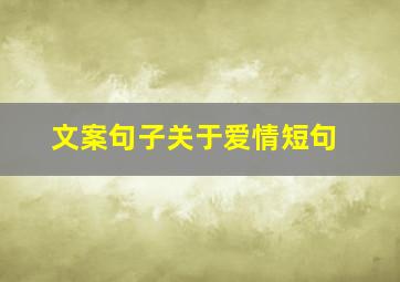 文案句子关于爱情短句