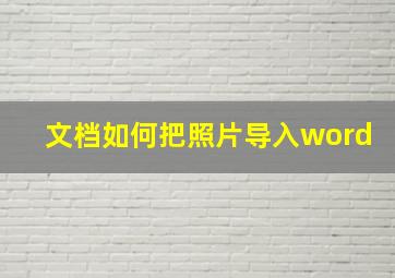 文档如何把照片导入word