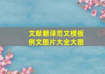 文献翻译范文模板例文图片大全大图