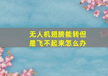 无人机翅膀能转但是飞不起来怎么办