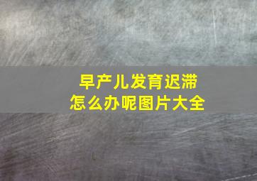 早产儿发育迟滞怎么办呢图片大全