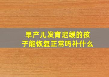 早产儿发育迟缓的孩子能恢复正常吗补什么