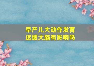 早产儿大动作发育迟缓大脑有影响吗