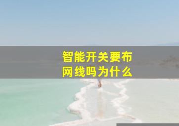 智能开关要布网线吗为什么