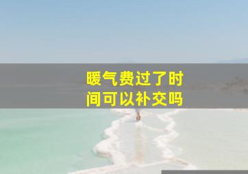 暖气费过了时间可以补交吗