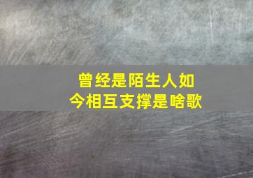 曾经是陌生人如今相互支撑是啥歌