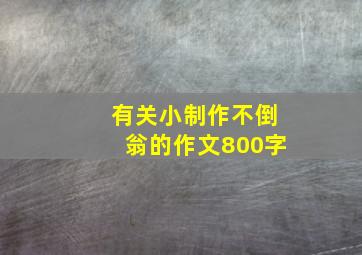 有关小制作不倒翁的作文800字