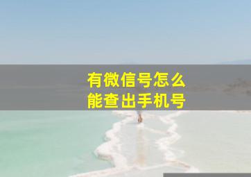 有微信号怎么能查出手机号