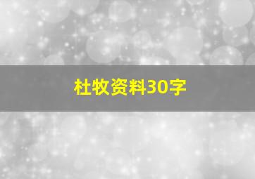 杜牧资料30字