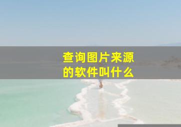 查询图片来源的软件叫什么