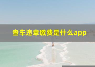 查车违章缴费是什么app