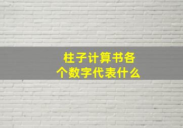 柱子计算书各个数字代表什么