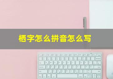 栖字怎么拼音怎么写