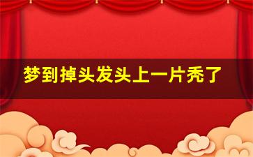 梦到掉头发头上一片秃了