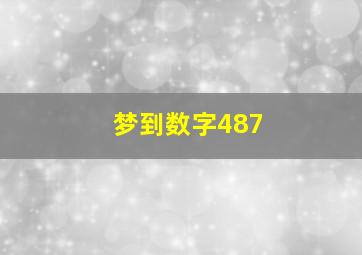 梦到数字487