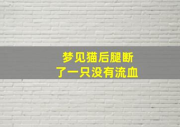 梦见猫后腿断了一只没有流血