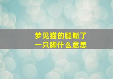 梦见猫的腿断了一只脚什么意思