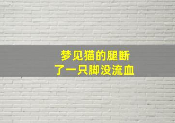 梦见猫的腿断了一只脚没流血