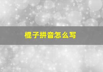 棍子拼音怎么写