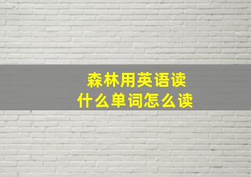 森林用英语读什么单词怎么读