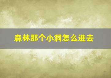 森林那个小洞怎么进去