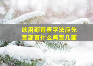 欲用部首查字法应先查部首什么再查几画