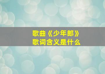 歌曲《少年郎》歌词含义是什么