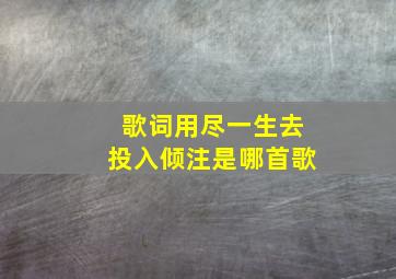 歌词用尽一生去投入倾注是哪首歌