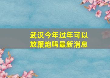 武汉今年过年可以放鞭炮吗最新消息