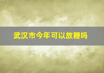 武汉市今年可以放鞭吗