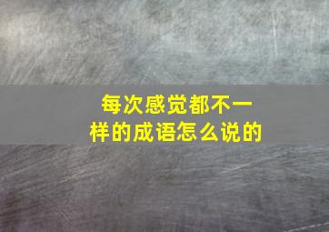 每次感觉都不一样的成语怎么说的