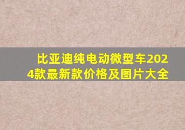 比亚迪纯电动微型车2024款最新款价格及图片大全