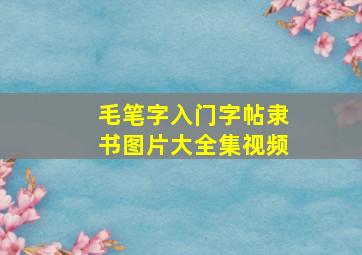 毛笔字入门字帖隶书图片大全集视频