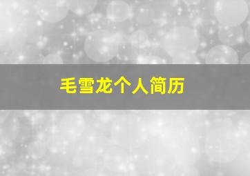 毛雪龙个人简历