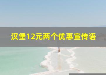 汉堡12元两个优惠宣传语