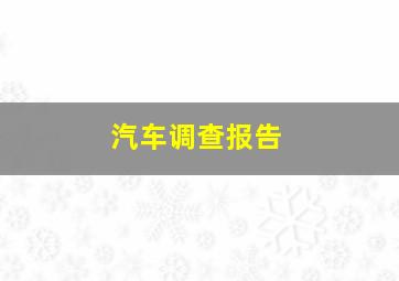 汽车调查报告