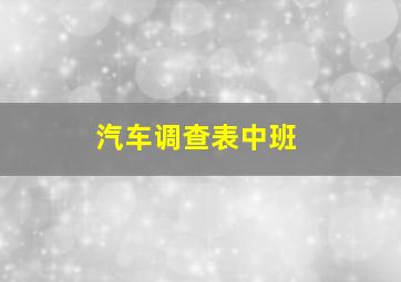 汽车调查表中班