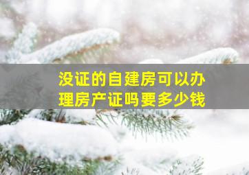 没证的自建房可以办理房产证吗要多少钱