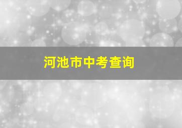 河池市中考查询