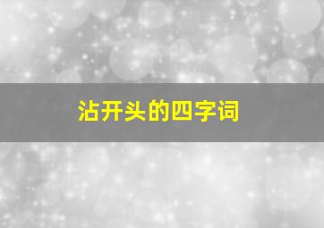 沾开头的四字词