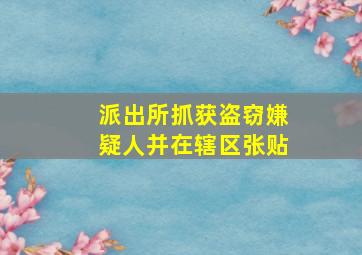 派出所抓获盗窃嫌疑人并在辖区张贴