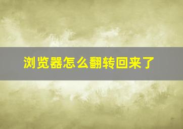 浏览器怎么翻转回来了