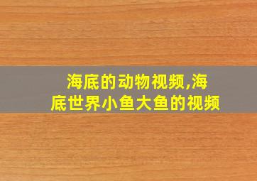 海底的动物视频,海底世界小鱼大鱼的视频