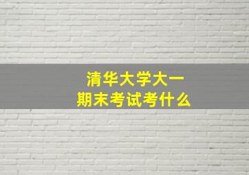 清华大学大一期末考试考什么