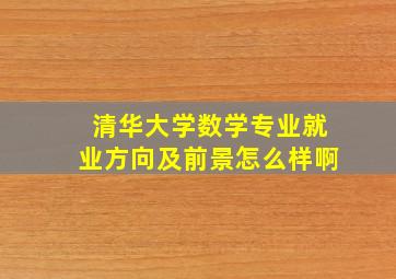 清华大学数学专业就业方向及前景怎么样啊