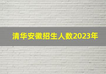 清华安徽招生人数2023年