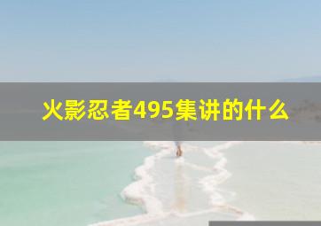 火影忍者495集讲的什么