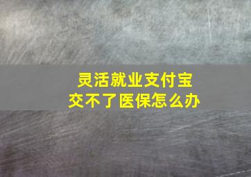 灵活就业支付宝交不了医保怎么办