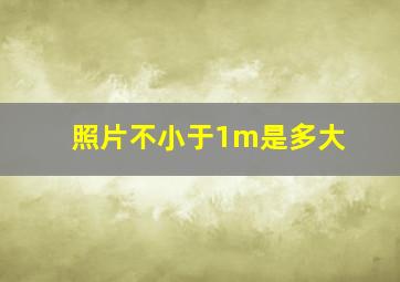 照片不小于1m是多大